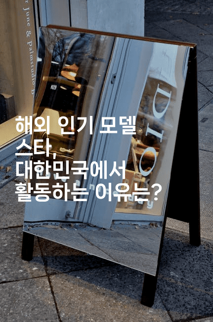 해외 인기 모델 스타, 대한민국에서 활동하는 이유는?
-블라블라