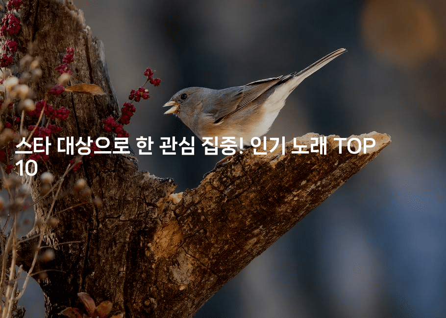 스타 대상으로 한 관심 집중! 인기 노래 TOP 10
-블라블라