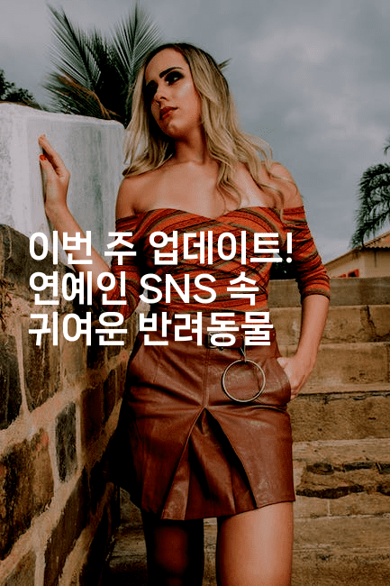 이번 주 업데이트! 연예인 SNS 속 귀여운 반려동물
2-블라블라