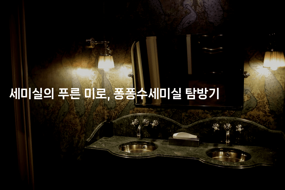 세미실의 푸른 미로, 퐁퐁수세미실 탐방기 -블라블라