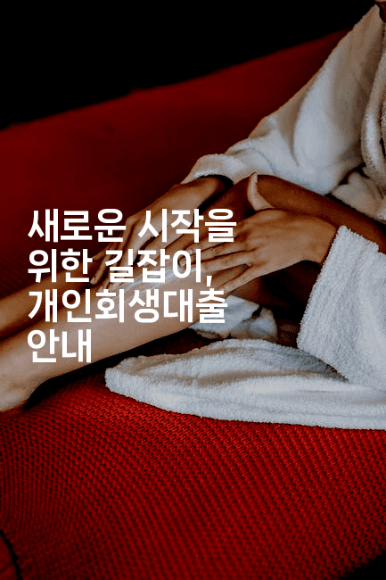 새로운 시작을 위한 길잡이, 개인회생대출 안내