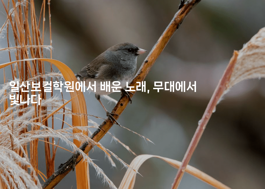 일산보컬학원에서 배운 노래, 무대에서 빛나다