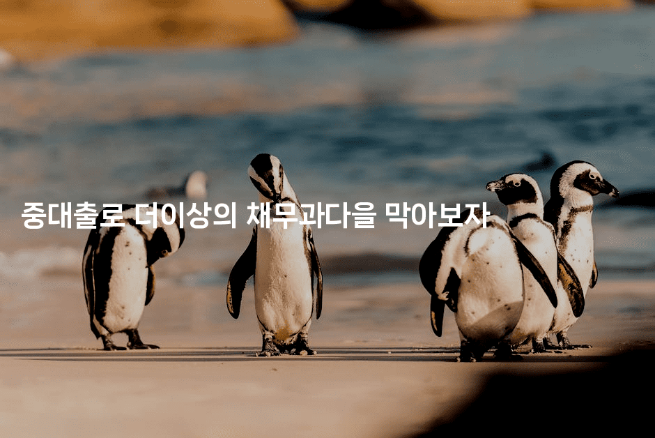 중대출로 더이상의 채무과다을 막아보자