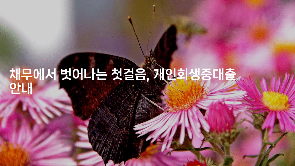 채무에서 벗어나는 첫걸음, 개인회생중대출 안내