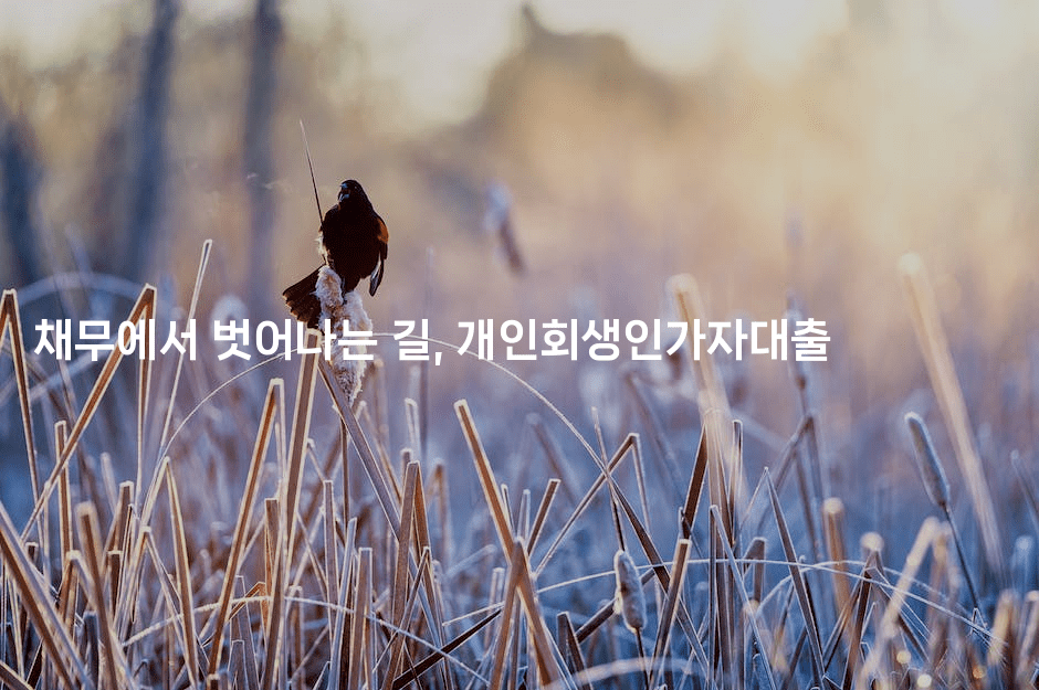 채무에서 벗어나는 길, 개인회생인가자대출