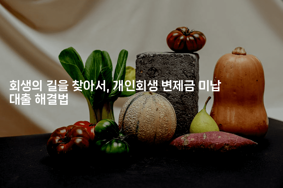 회생의 길을 찾아서, 개인회생 변제금 미납 대출 해결법-블라블라