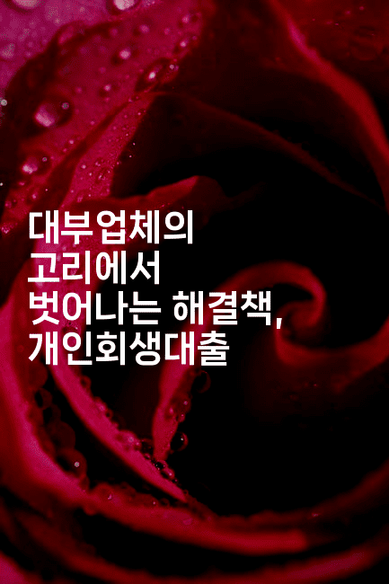 대부업체의 고리에서 벗어나는 해결책, 개인회생대출