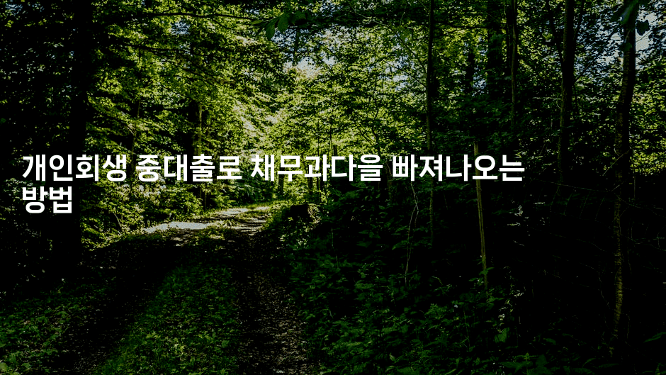 개인회생 중대출로 채무과다을 빠져나오는 방법-블라블라