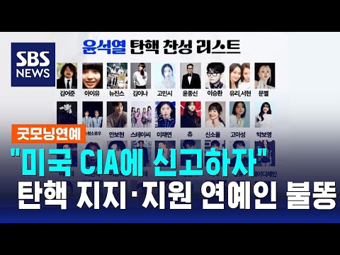 "미국 CIA에 신고하자"…탄핵 지지·지원 연예인 불똥 / SBS / 굿모닝연예