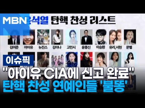 ＂아이유 CIA에 신고 완료＂ 탄핵 찬성 연예인들 '불똥' | 이슈픽