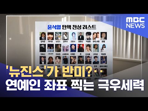 '뉴진스'가 반미?‥연예인 좌표 찍는 극우세력 (2024.12.19/뉴스투데이/MBC)