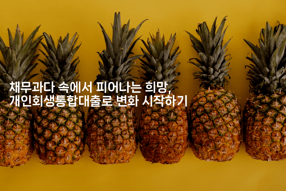 채무과다 속에서 피어나는 희망, 개인회생통합대출로 변화 시작하기-블라블라